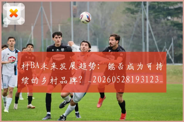 村BA未来发展趋势:能否成为可持续的乡村品牌?_20260528193123_20260609215722