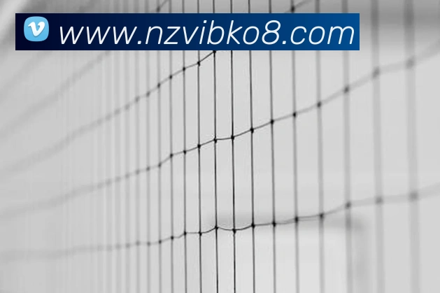 登录器 登录器